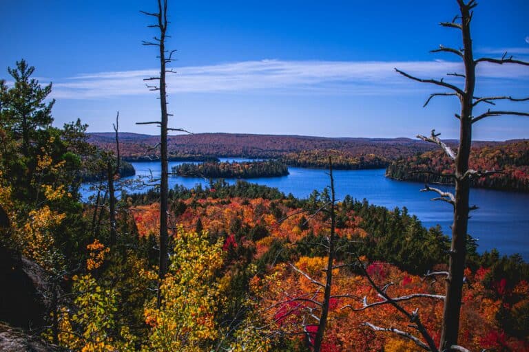 Ausblick auf den Algonquin Provincial Park
