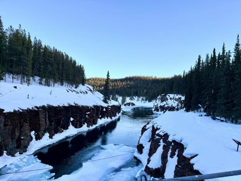 Winterlandschaft in Whitehorse.
