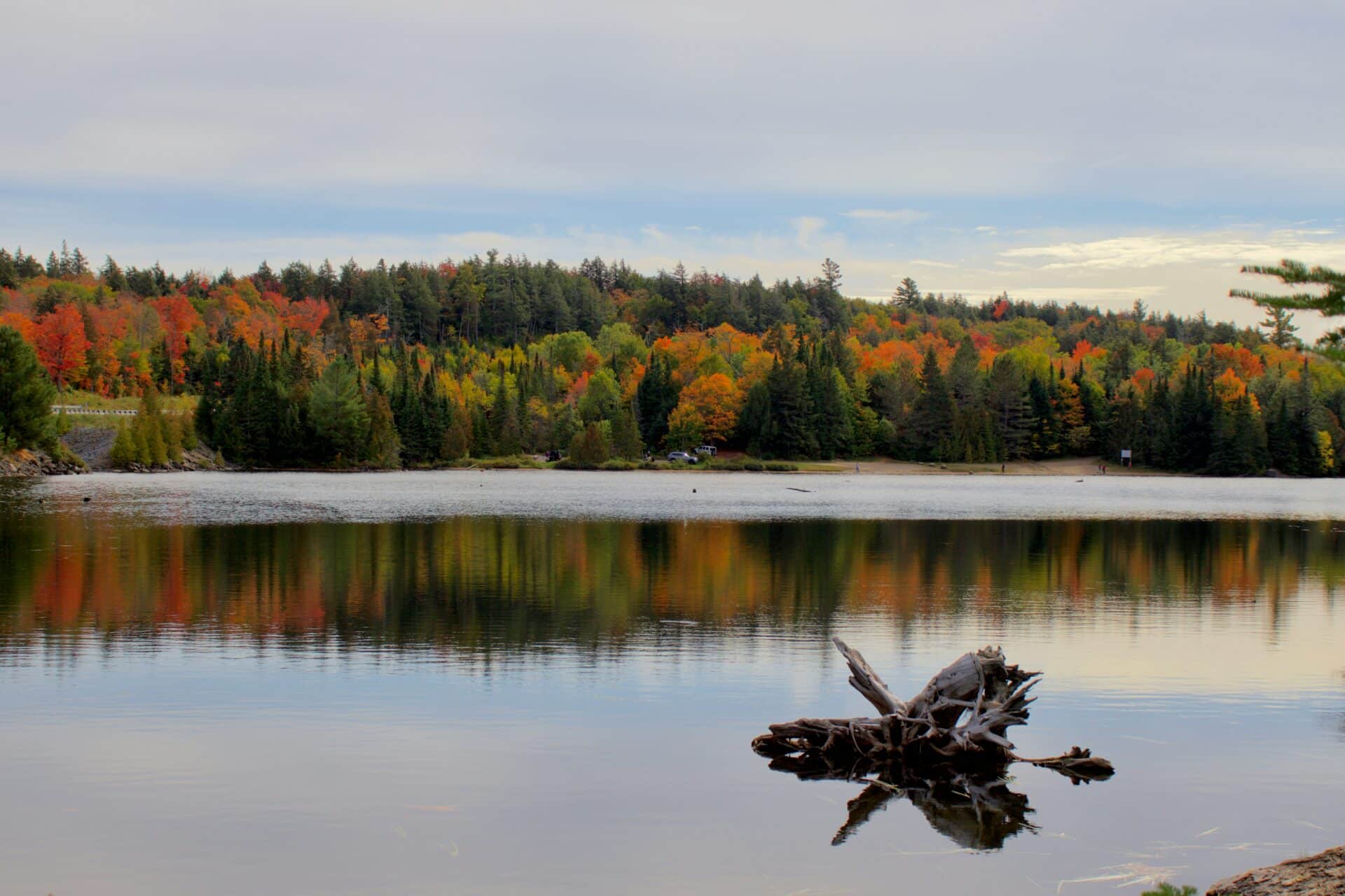 Seelandschaft im Algonquin Provincial Park zum Indian Summer.