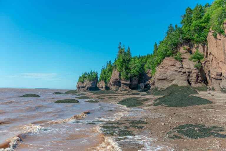 Fundy Albert in New Brunswick.