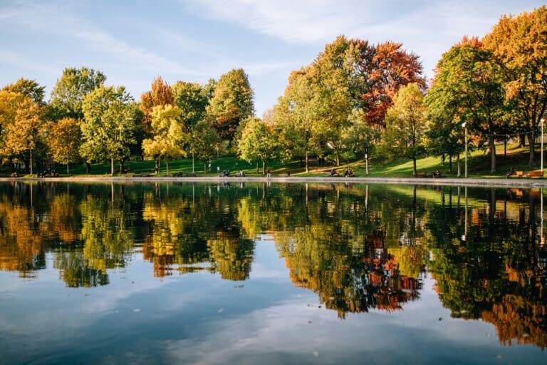Park am Wasser mit Bäumen in bunter Färbung in Montreal.