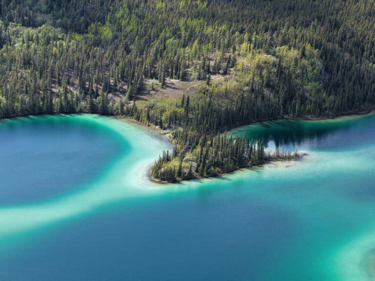 Der Smaragdsee im Yukon mit schillerndem blau-grünem Wasser und hellen, bewaldeten Sandstränden, an denen die Wasserfarben von türkis bis eisblau reichen