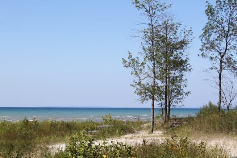 Dünen und Bäume am Strand von Wasaga Beach in Ontario