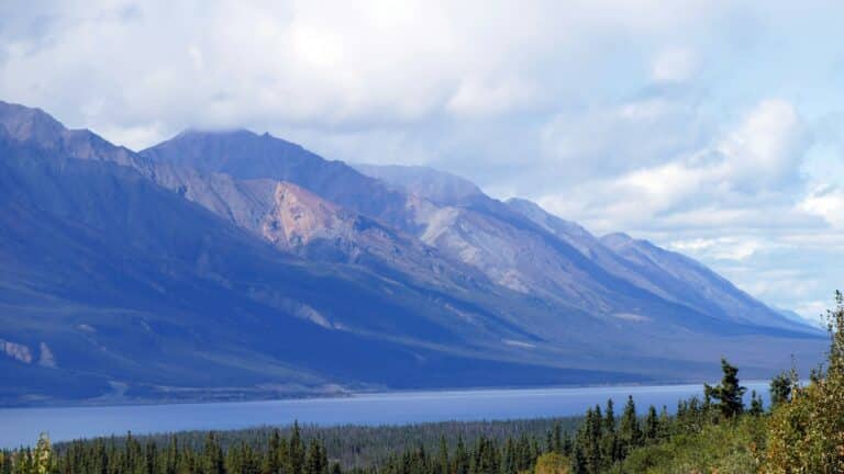 Blick auf den Kluane Lake, im Hintergrund karge, leicht wolkenverhangene Berge, im Vordergrund ein Waldgebiet, das bis an den See heranreicht