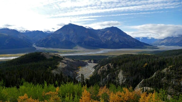 Weiter Blick in das herbstliche Tal des Kluane National Parks mit Flüssen, Bergen und Wald, bei dem die Laubfärbung bereits eingesetzt hat