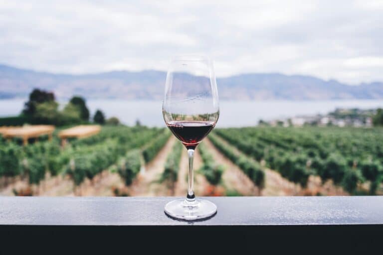 Ein Glas Rotwein steht auf dem Geländer einer Terrasse mit weitem Blick über die Weinreben im Okanagan Valley