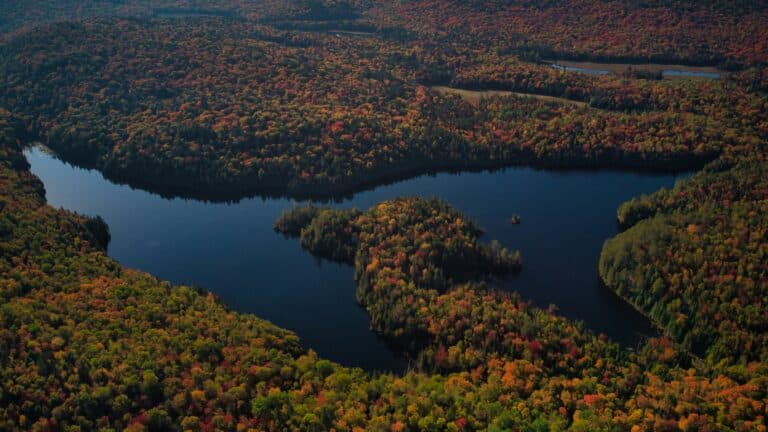 Blick aus der Vogelperspektive auf den herbstlichen Parque Nationale de la Mauricie mit viel buntem Wald und einer herrlichen Seenlandschaft
