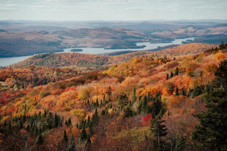 Bilck auf den herbstlichen Wald und See im Parc national du Mont-Tremblant