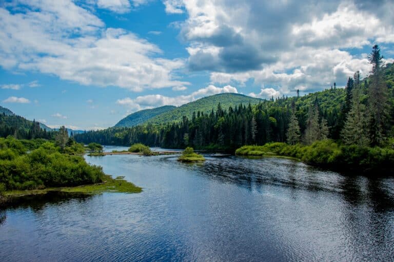 Fluss durch den Jacques-Cartier Nationalpark mit grünem Uferbewuchs sowie Wald und Bergen im Hintergrund bei leichter Bewölkung