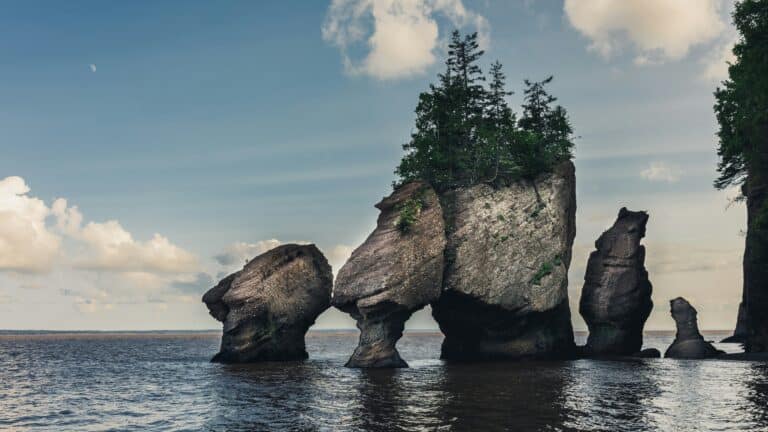 Steil aus dem Wasser aufragende, graubraune Felsen, zum Teil mit Pflanzen und kleinen Bäumen bewachsen